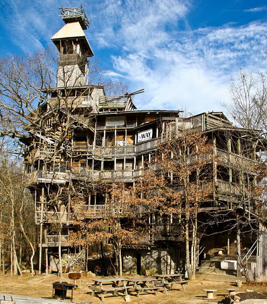 Самый большой дом в мире, построенный на дереве