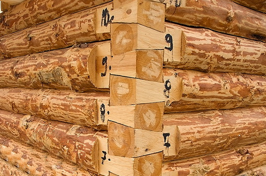 Как выбрать сруб для строительства деревянного дома
