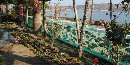 Забор-аквариум