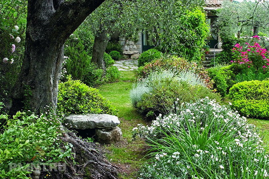 7 лучших образцов ландшафтного дизайна от Королевского садового общества Великобритании