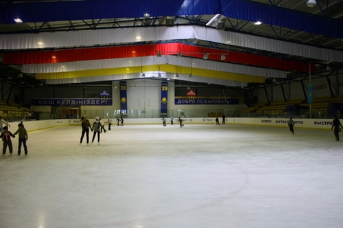 В Донецкой области по проекту школьников построят ледовый дворец