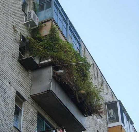 Самые странные балконы