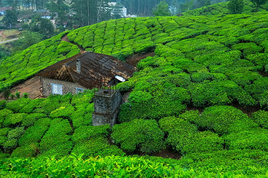 Самые уединённые дома на Земле