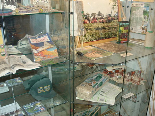 5 самых странных музеев Амстердама