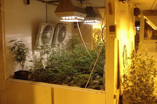 5 самых странных музеев Амстердама