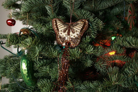 Американские дети в Рождество ищут на елке огурец