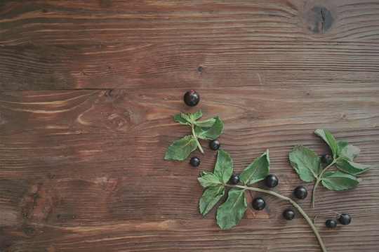 Как тонировать  и травить древесину