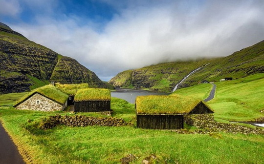 Курьезы: в Скандинавии на крышах домов сажают траву