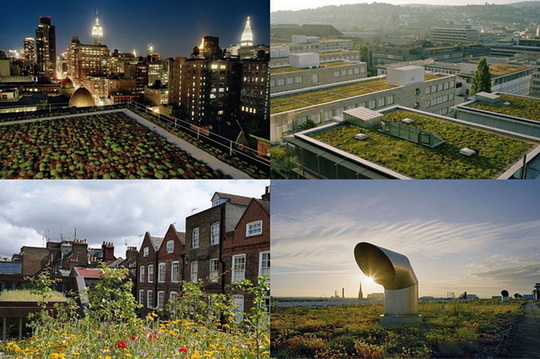 Курьезы: в Скандинавии на крышах домов сажают траву