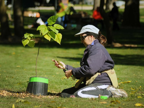 В октябре в Киеве будут усиленно работать над благоустройством