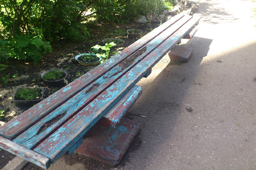 В Киеве для ремонта скамеек используют аварийные деревья