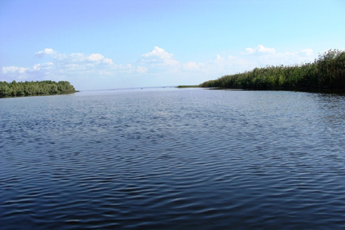 Строительство СОКа у водохранилища запретить не смогли