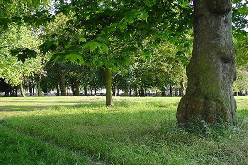 Донецкий парк будут восстанавливать за 22 млн. грн.