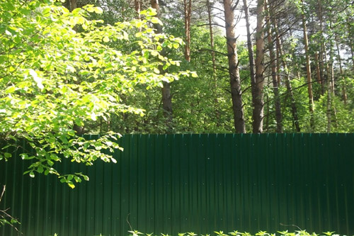 В Киевской области хотели застроить 30 га леса