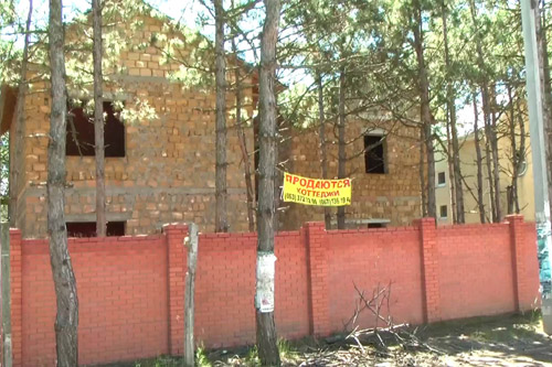 Под Николаевом вовсю раздают лесные земли