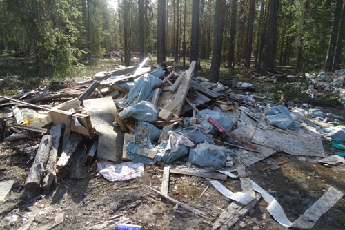 В Киеве за один день ликвидировали 26 свалок