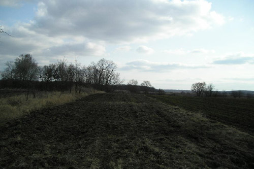 Фермеры отхватили у крестьян более 100 га земли под Киевом