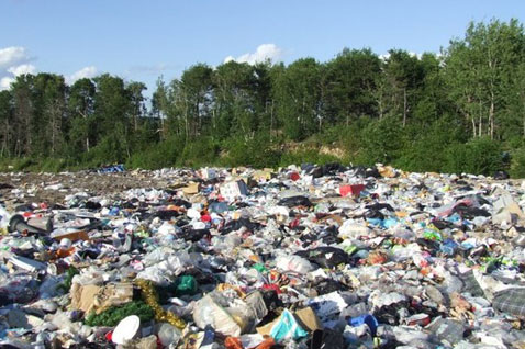 Янукович требует решения проблемы с мусором