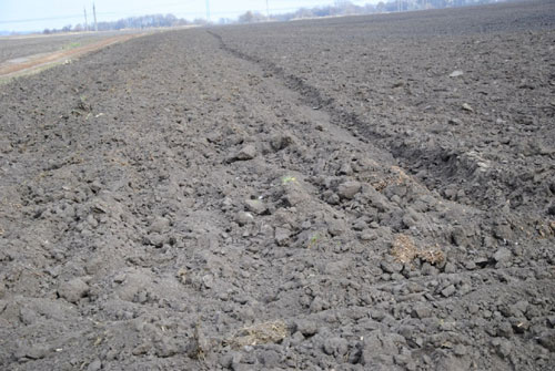 В Донецке проверят соблюдение земельного законодательства