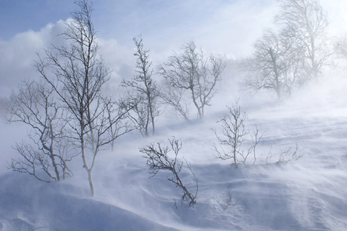 Новый глава Киева призвал готовиться к зиме