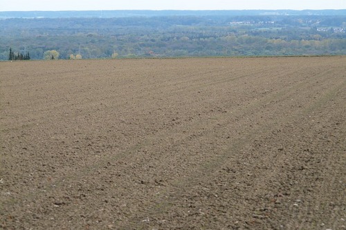 Мораторий на продажу земель сельхозназначения продлен до 1 января 2016