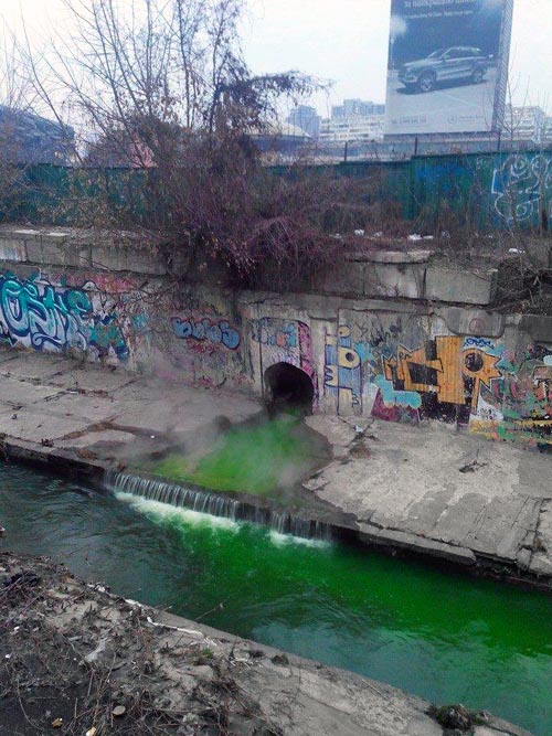 Река Лыбидь окрасилась в зеленый