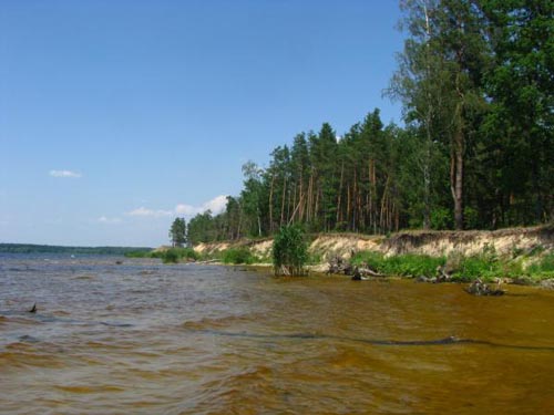 70 га вдоль дамбы Каневского водохранилища вернули государству