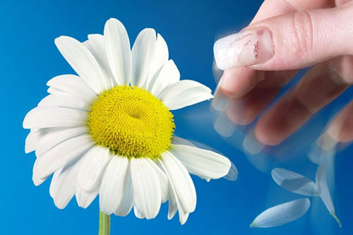 Кого не любит Киевоблэнерго