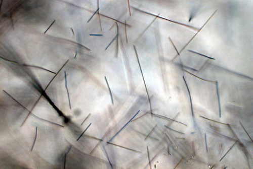 Придуманы новые архитектурные панели, поглощающие смог