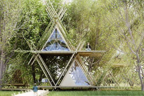 Построен эко-отель в бамбуковом домике на дереве