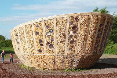 Построен экологичный дом из кукурузы