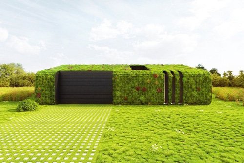 Построен абсолютно «зеленый», в полном смысле, дом