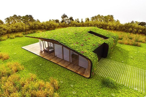 Построен абсолютно «зеленый», в полном смысле, дом