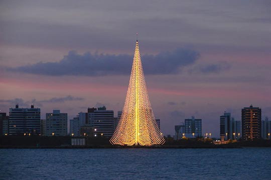 Самая большая елка в мире