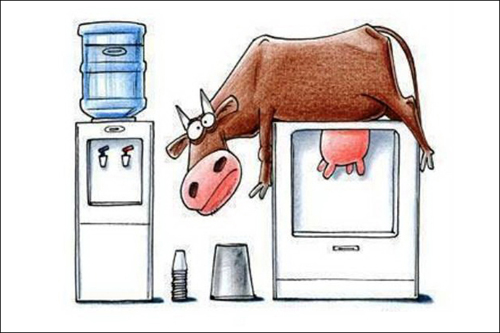 Ростки нового всегда зарождаются внутри старого