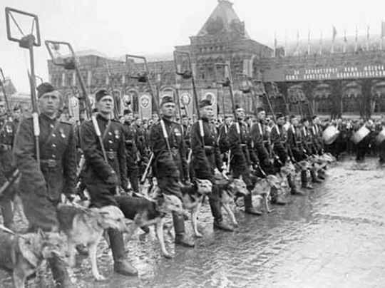 Киев во время немецкой оккупации