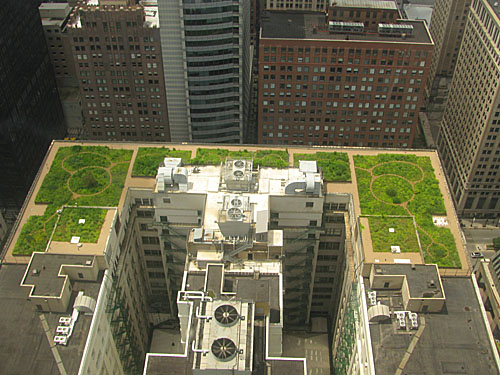 сад на крыше многоэтажки1