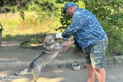 Працiвник "Днiпроводоканалу" повернувся з вiйни