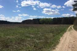 Продажу земли поддерживает всего 13% населения