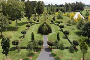 Как построили церковь из живых деревьев  в городе хоббитов. Фото