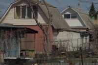 Российские регионы перейдут на подножный корм