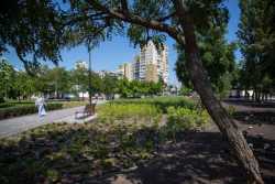 У Києвi завершують роботи зi створення озелененого громадського простору бiля метро "Героїв Днiпра"