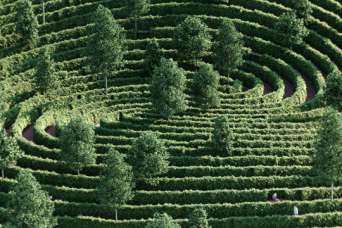 Для карантина придумали особый парк