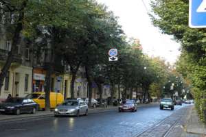 У львовян интересуются мнением о ремонте улицы