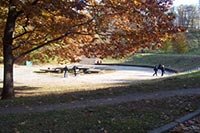 Киевлянам предоставят возможность решить судьбу двух парков