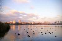 В Дарницком районе появится местный заказник