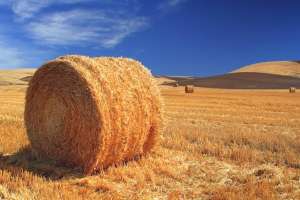 В Украине появится новый завод по производству биометана