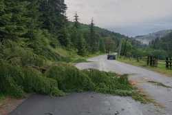 На дорогах Iвано-Франкiвщини лiквiдують наслiдки стихiї