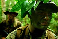 В Киеве хотят создать специальную милицию для охраны деревьев