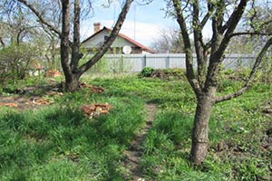 В Киевской области у депутата забрали землю